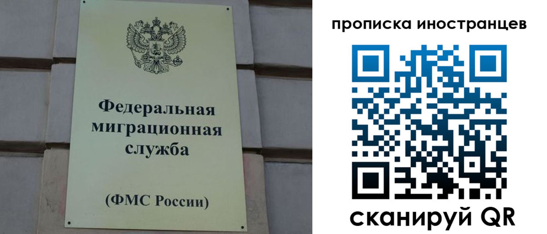 прописка в квартире в Ясном